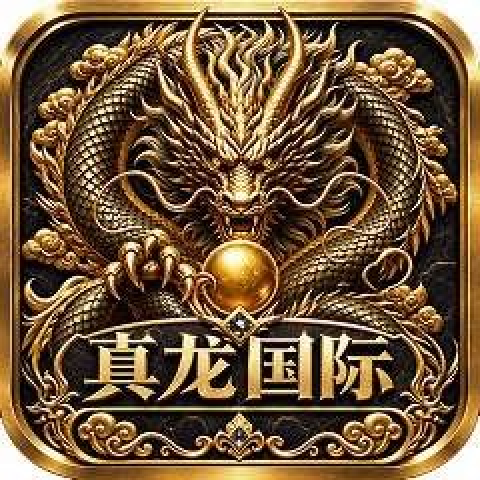 真龙国际